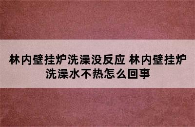 林内壁挂炉洗澡没反应 林内壁挂炉洗澡水不热怎么回事